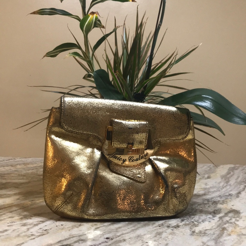 Gold Juicy couture clutch.
